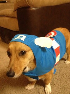 Malgré lui, le chien est là pour nous amuser