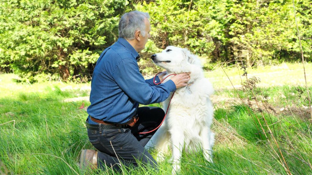 Un maître et son chien