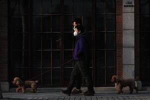 Un chien en laisse