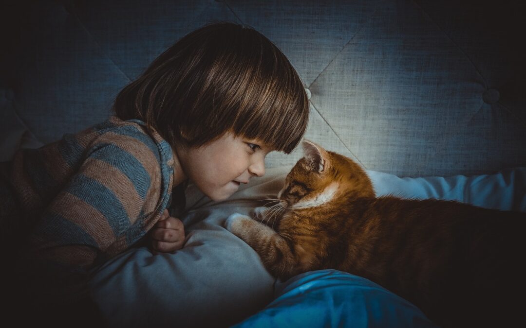 Comment favoriser l’interaction avec son chat : les clés pour une relation plus proche