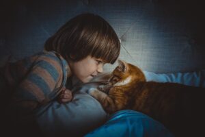 Interaction avec un chat