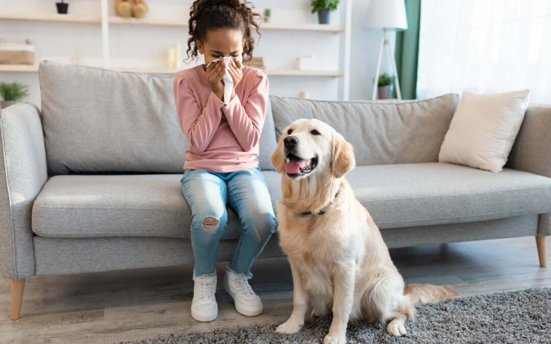 Comment gérer les allergies aux animaux domestiques